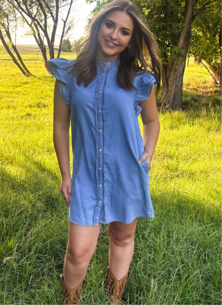 Denim Days Dress
