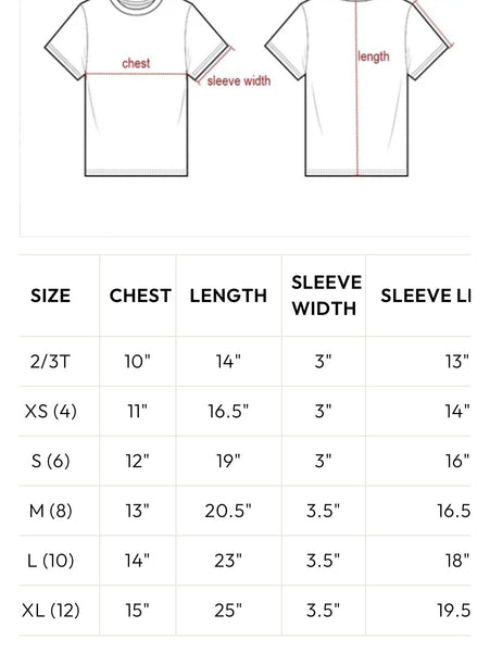 Mini Howdy Santa Mesh