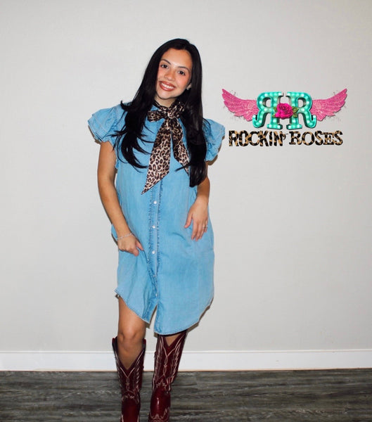 Denim Days Dress